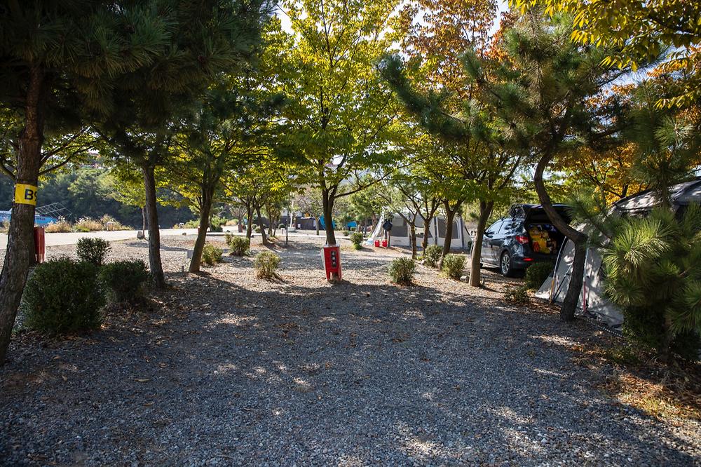 선재오토캠핑장