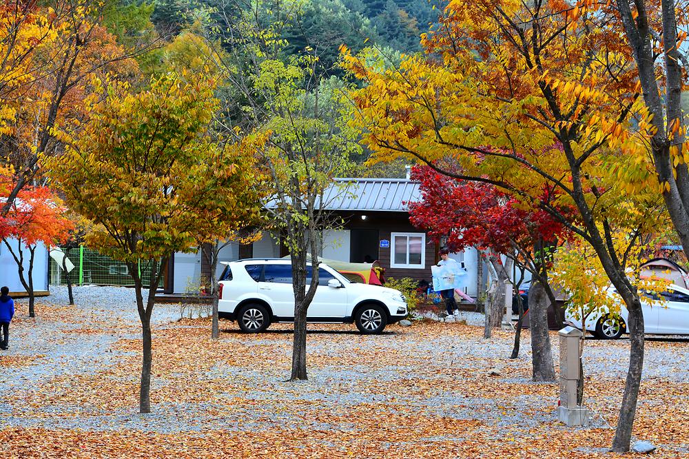 소풍캠핑장