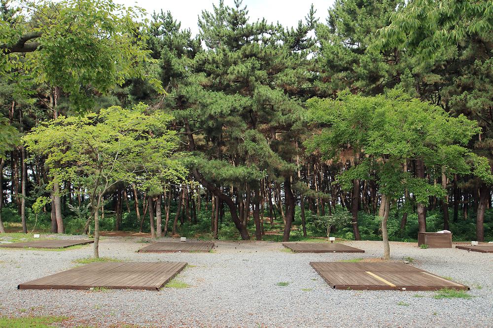 솔바람 캠핑장
