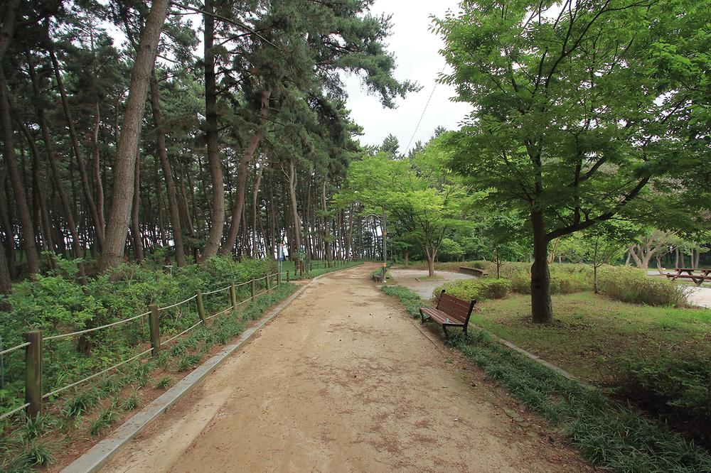 솔바람 캠핑장