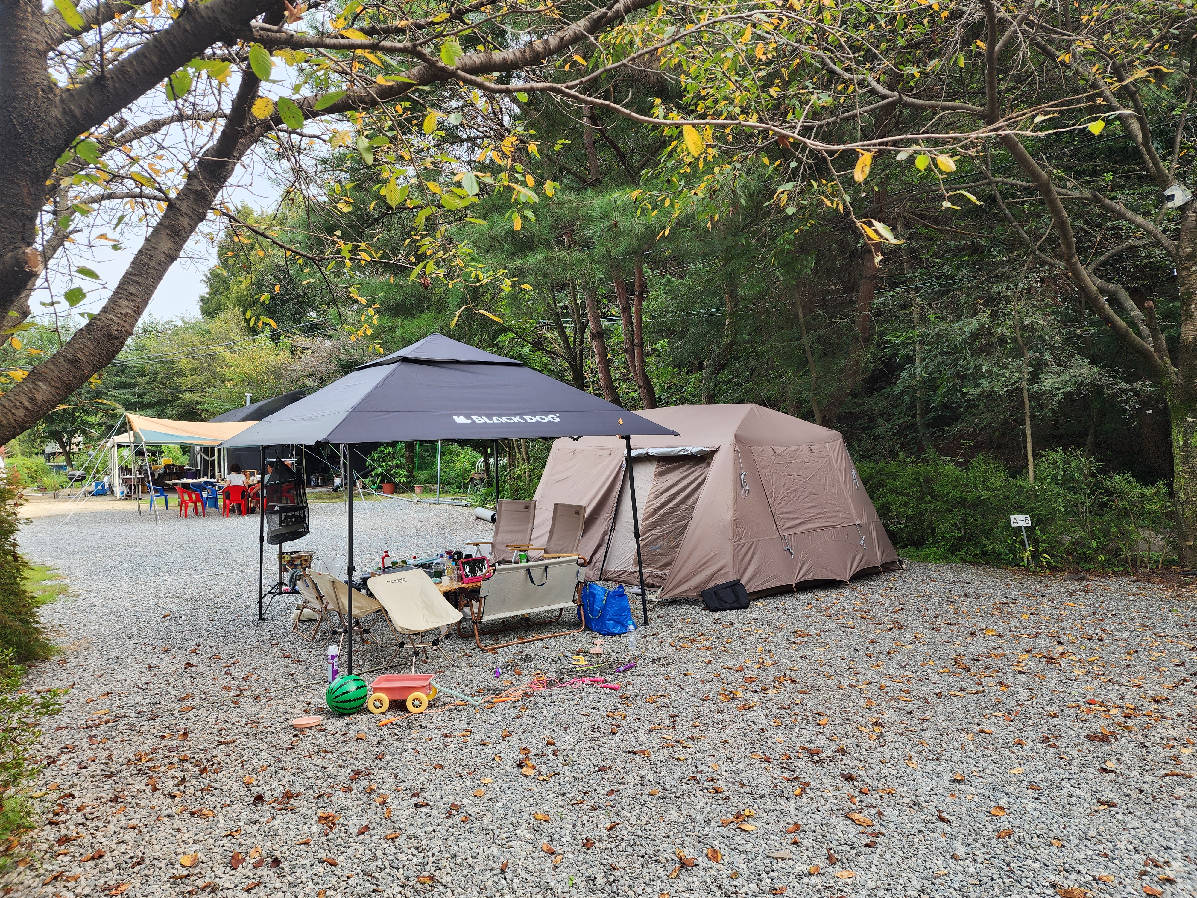 숲속에안뜰 캠핑장