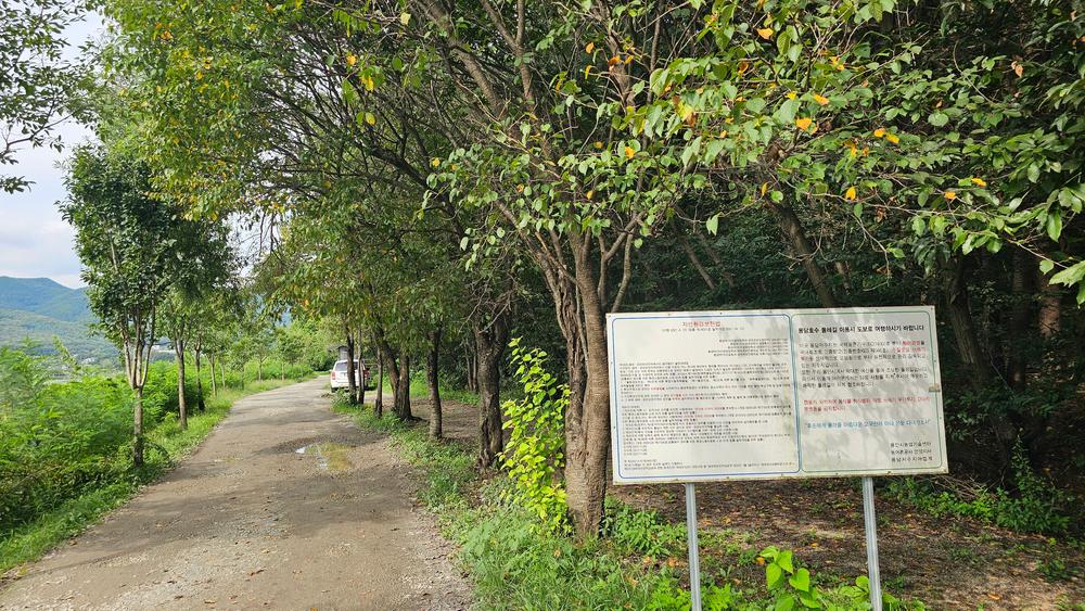 숲속에안뜰 캠핑장