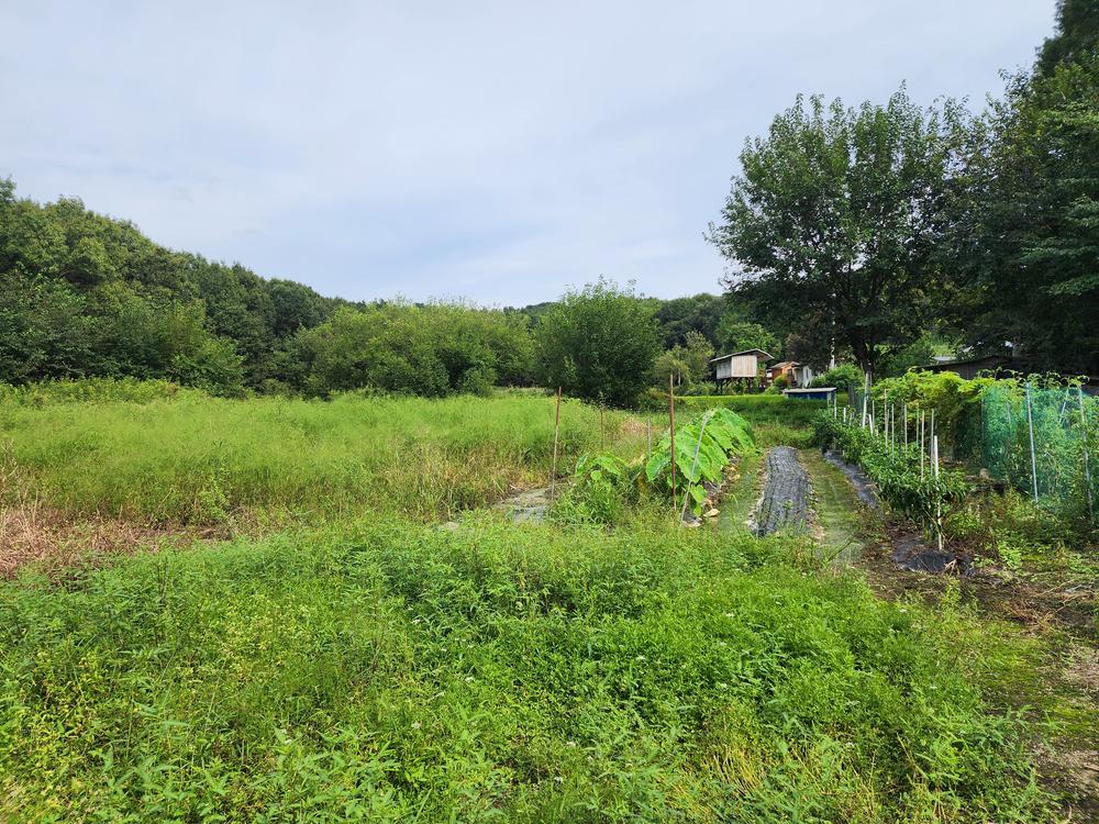 숲속에안뜰 캠핑장