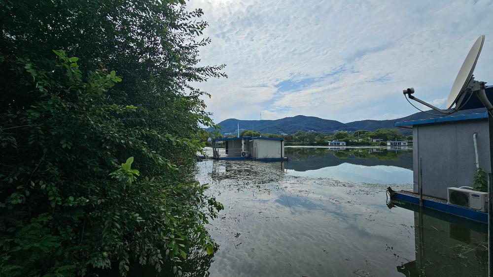 숲속에안뜰 캠핑장