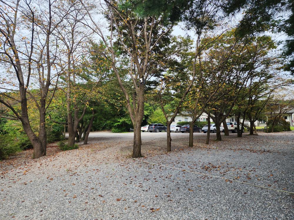 숲속에안뜰 캠핑장