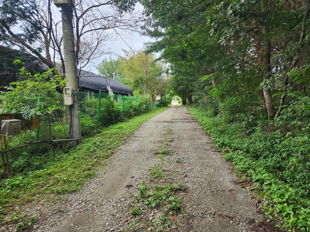 숲속에안뜰 캠핑장