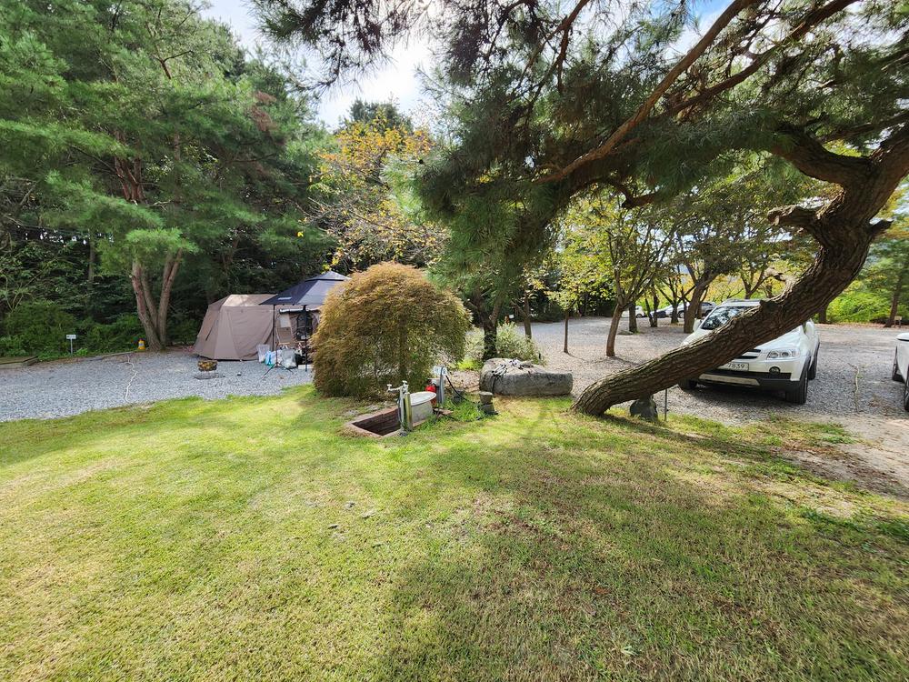 숲속에안뜰 캠핑장