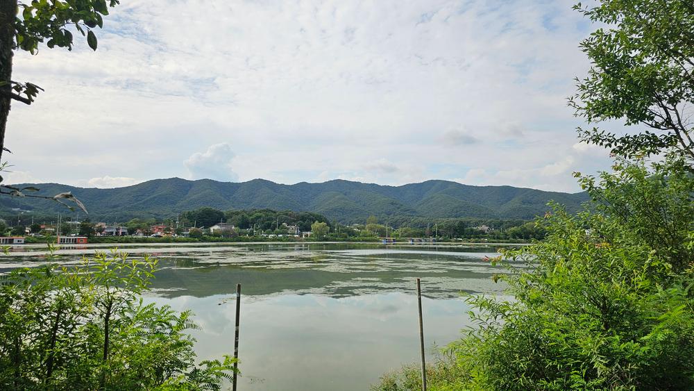 숲속에안뜰 캠핑장