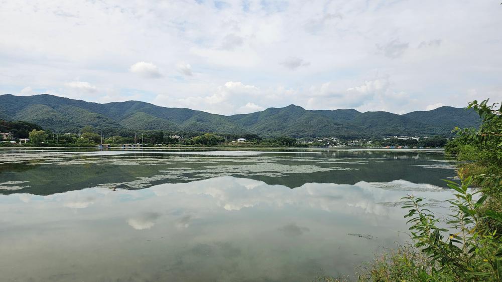 숲속에안뜰 캠핑장