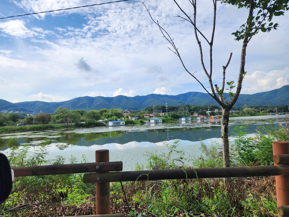 숲속에안뜰 캠핑장