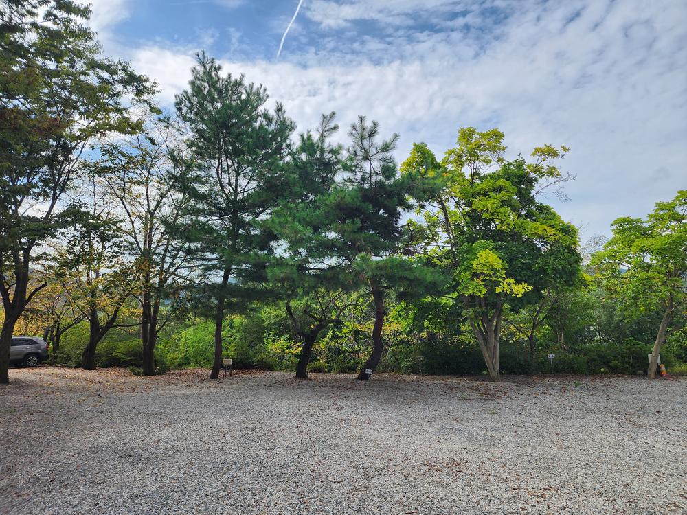 숲속에안뜰 캠핑장