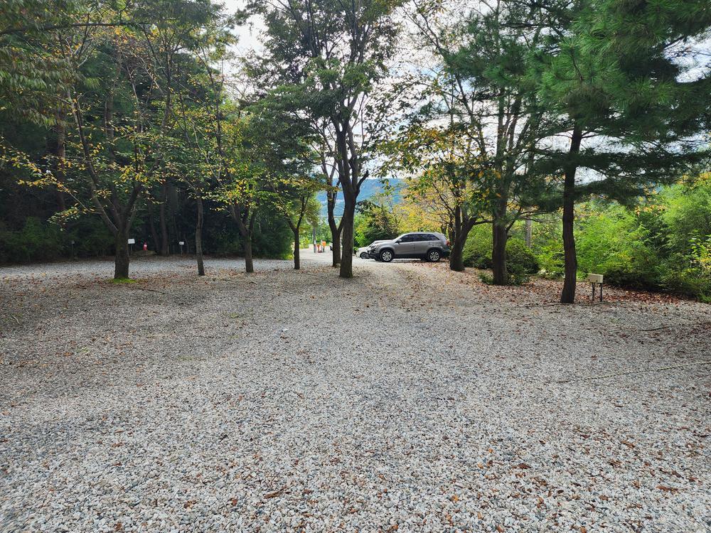 숲속에안뜰 캠핑장