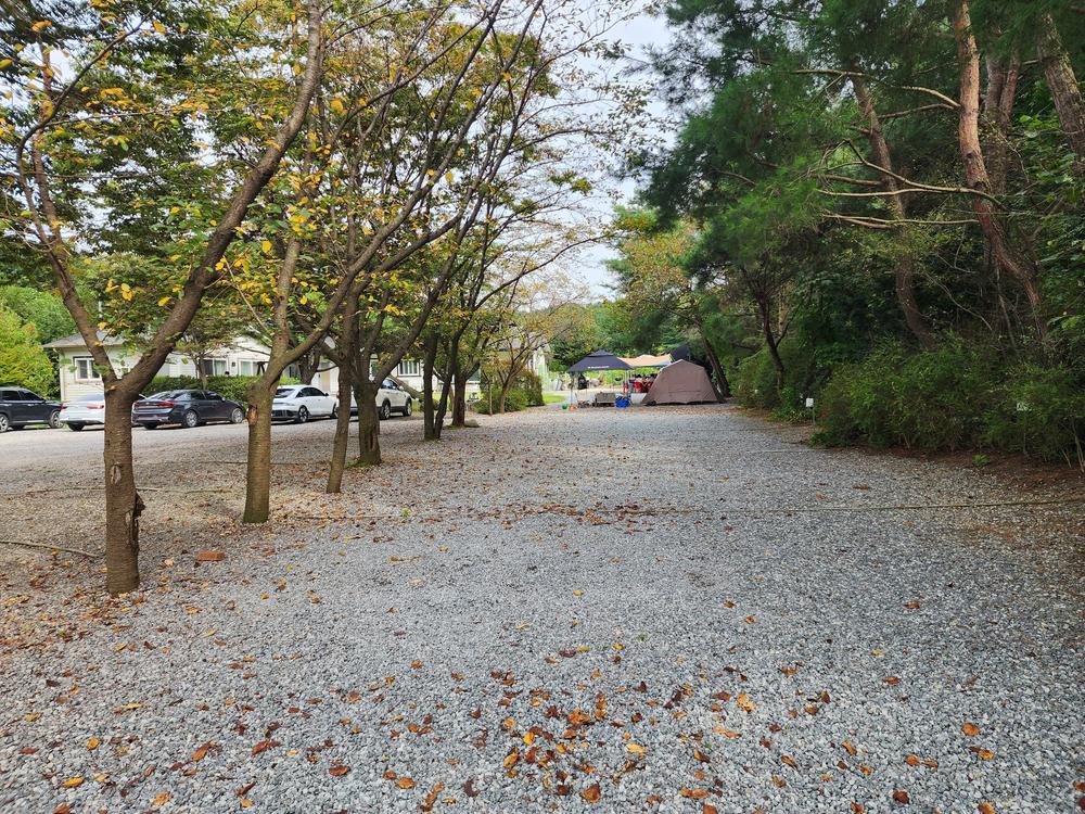 숲속에안뜰 캠핑장