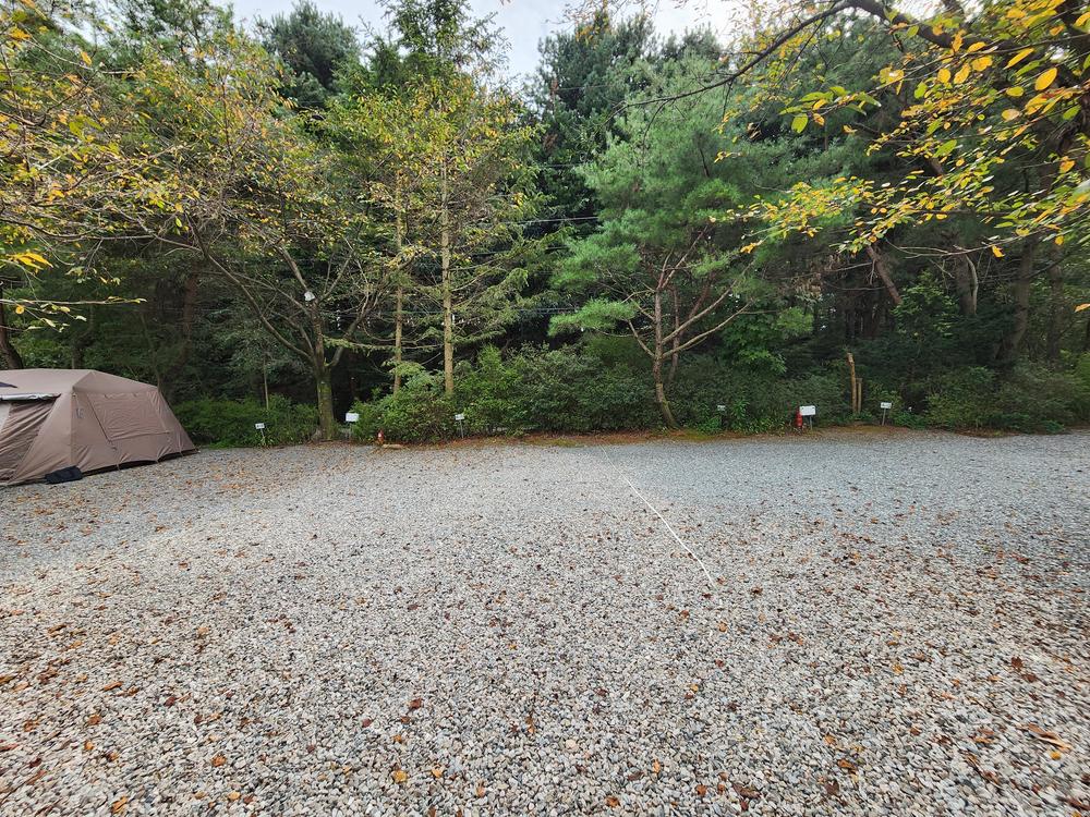 숲속에안뜰 캠핑장