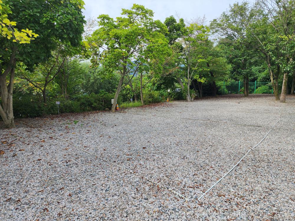 숲속에안뜰 캠핑장