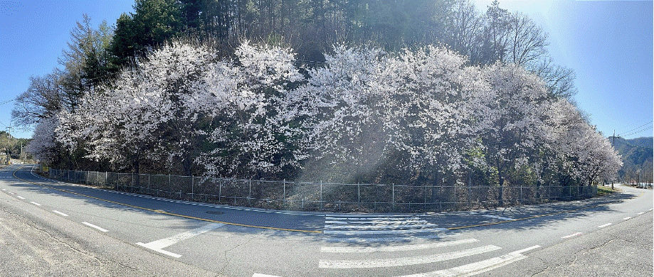 우리들캠핑장