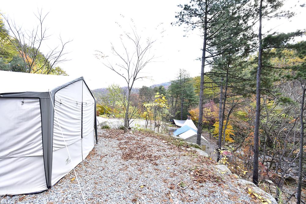 유명산라온캠핑장