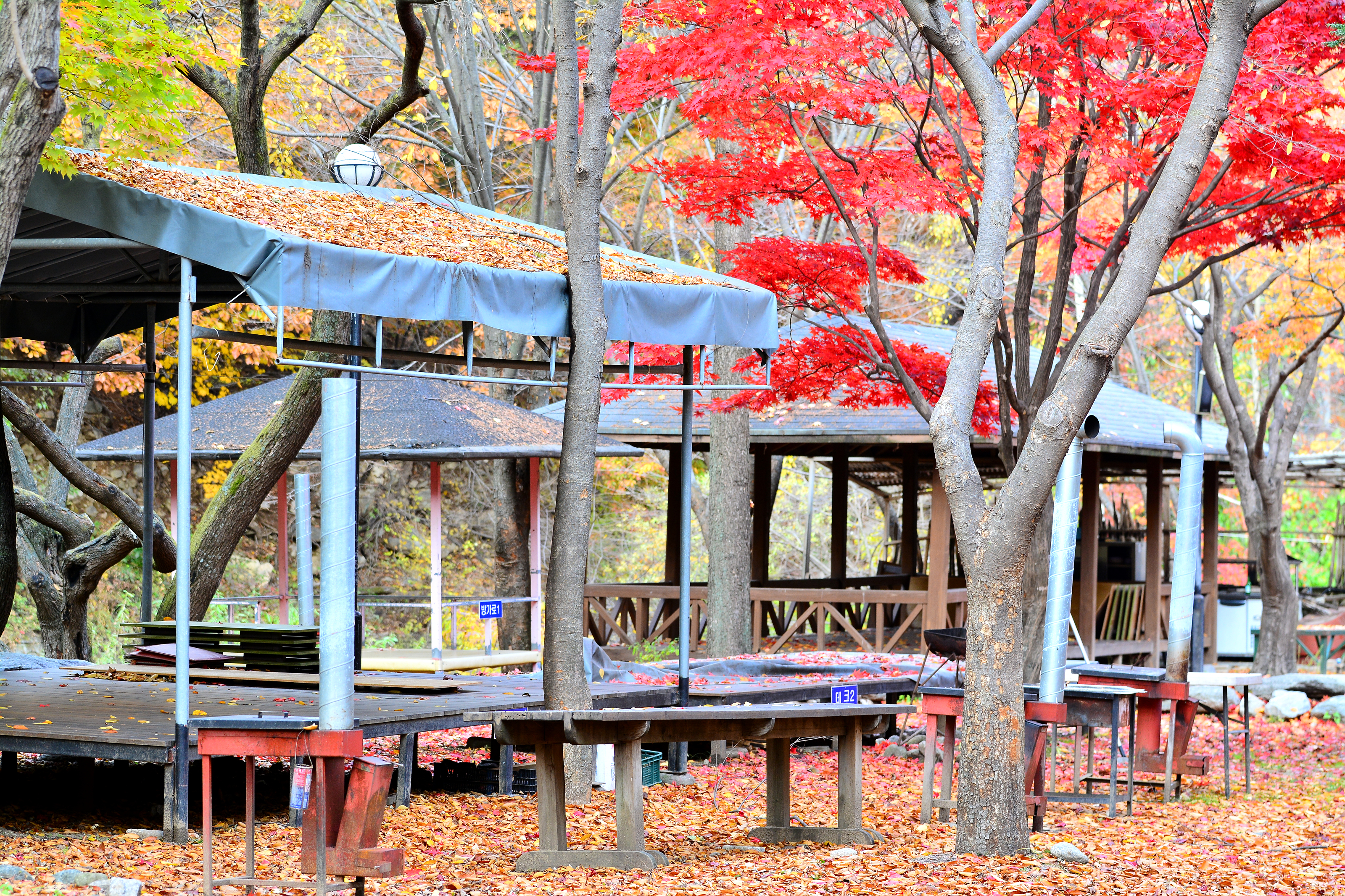 유명산밸리캠핑장