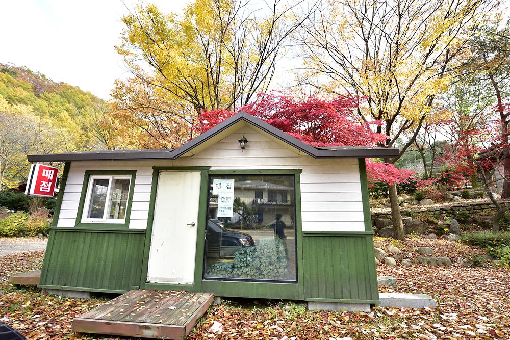유명산밸리캠핑장