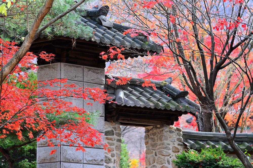 유명산밸리캠핑장