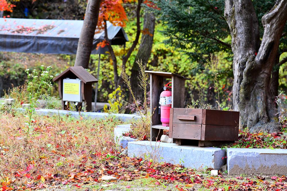유명산밸리캠핑장