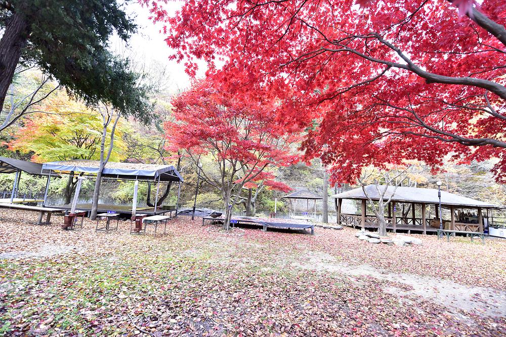 유명산밸리캠핑장