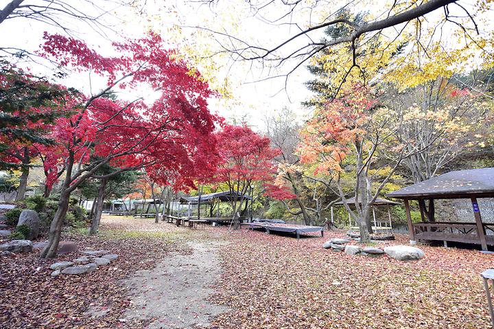 유명산밸리캠핑장 메인 이미지