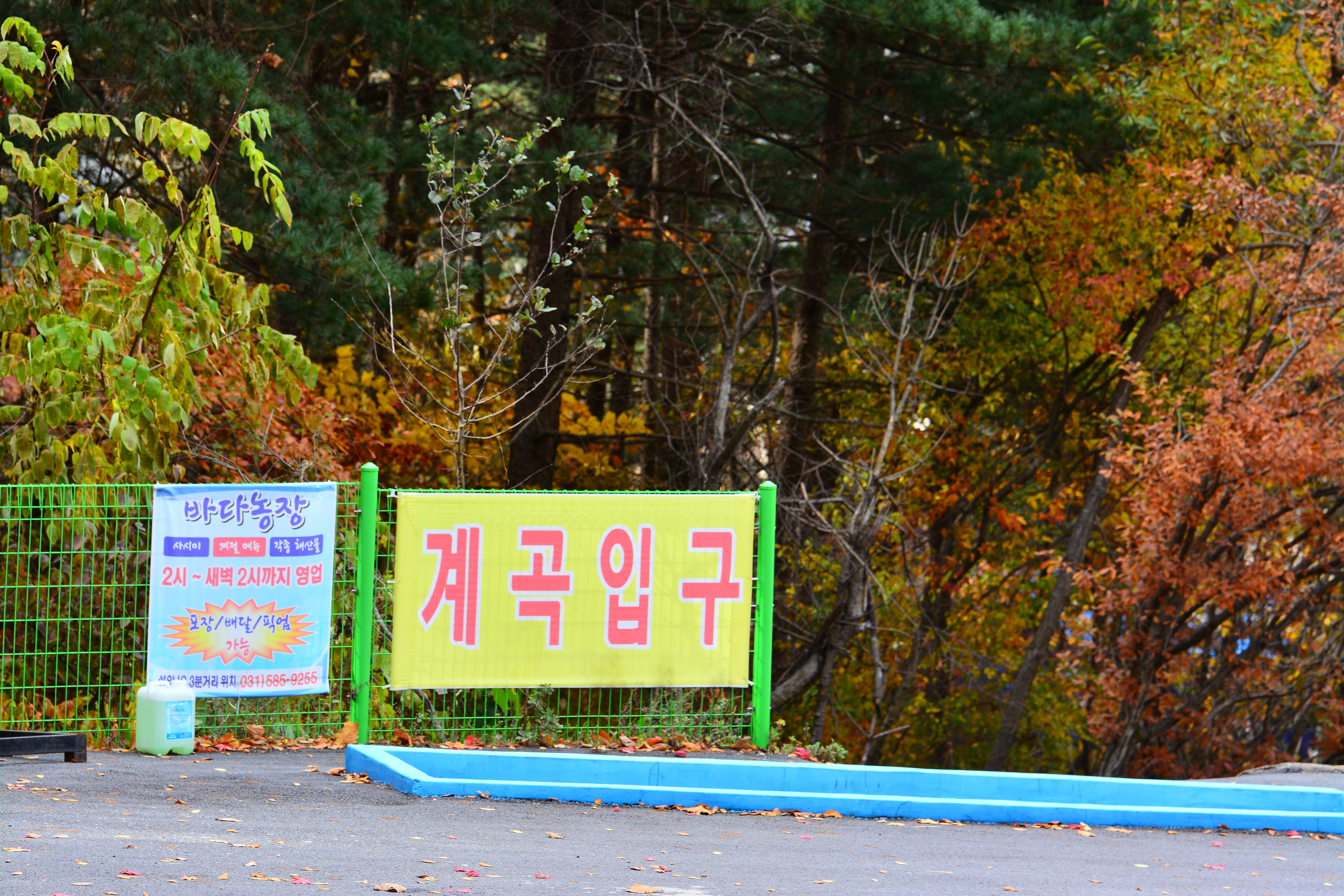 유명산힐링캠프