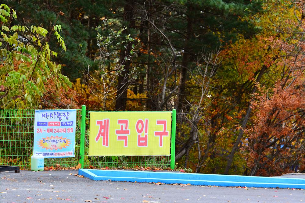유명산힐링캠프