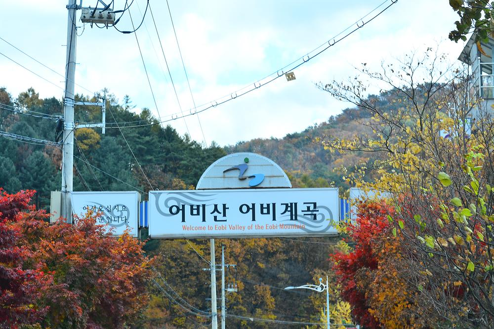 유명산힐링캠프