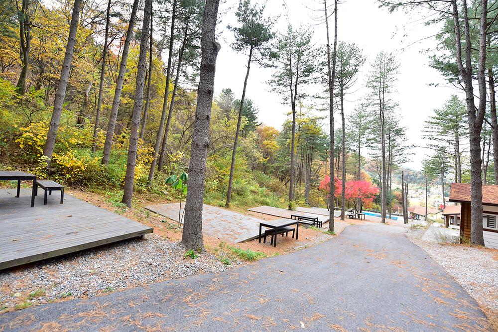 유명산힐링캠프