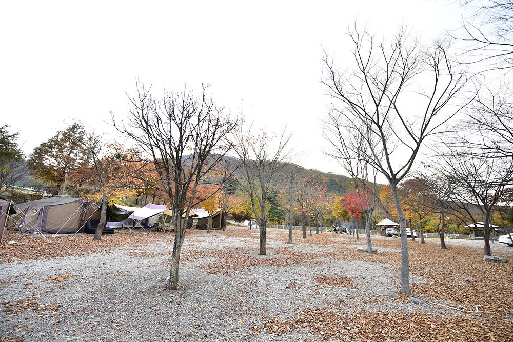 은석캠핑장