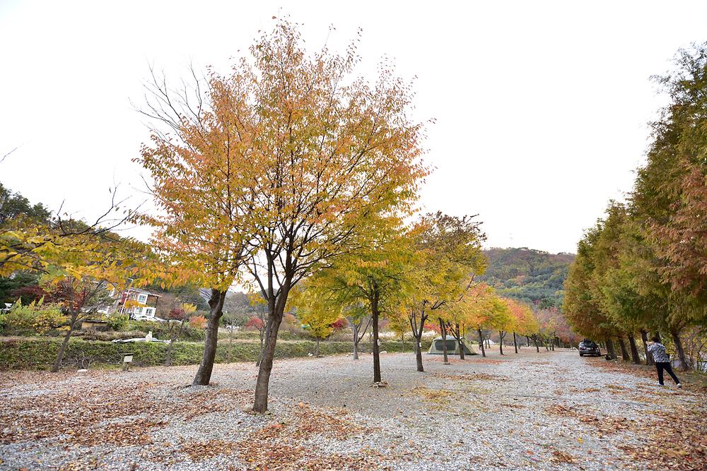 은석캠핑장