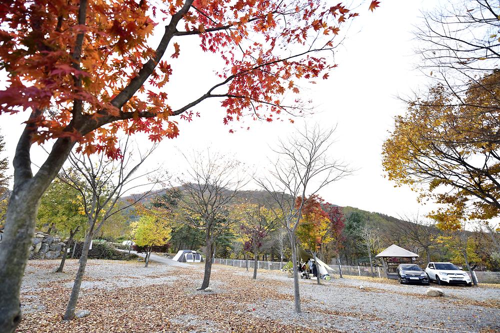 은석캠핑장