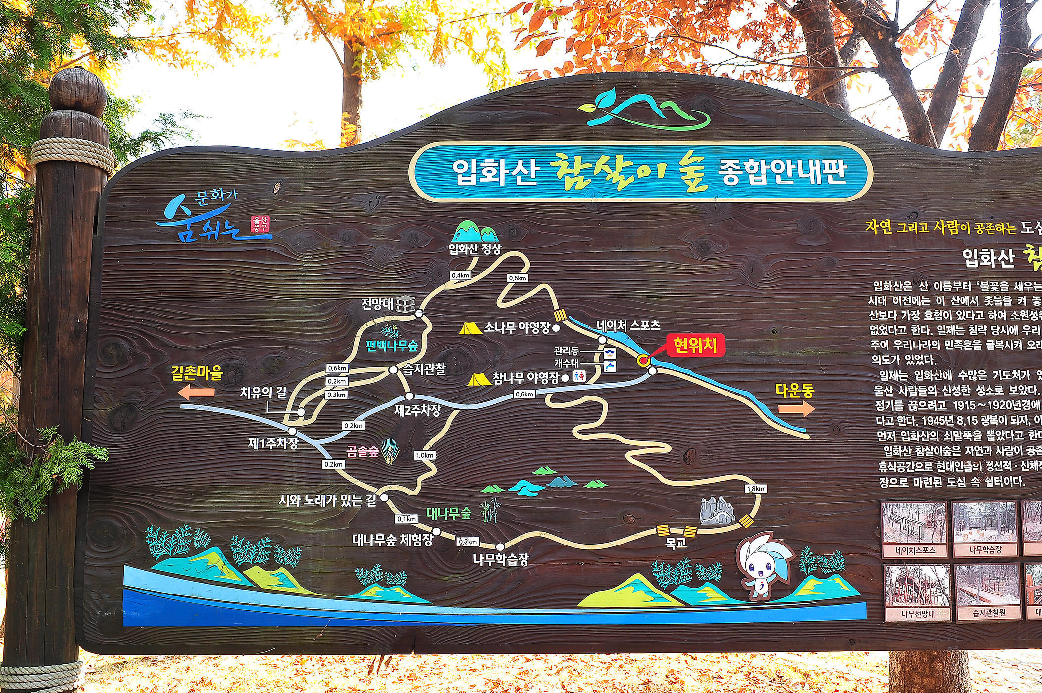 안전 및 시설배치도입니다