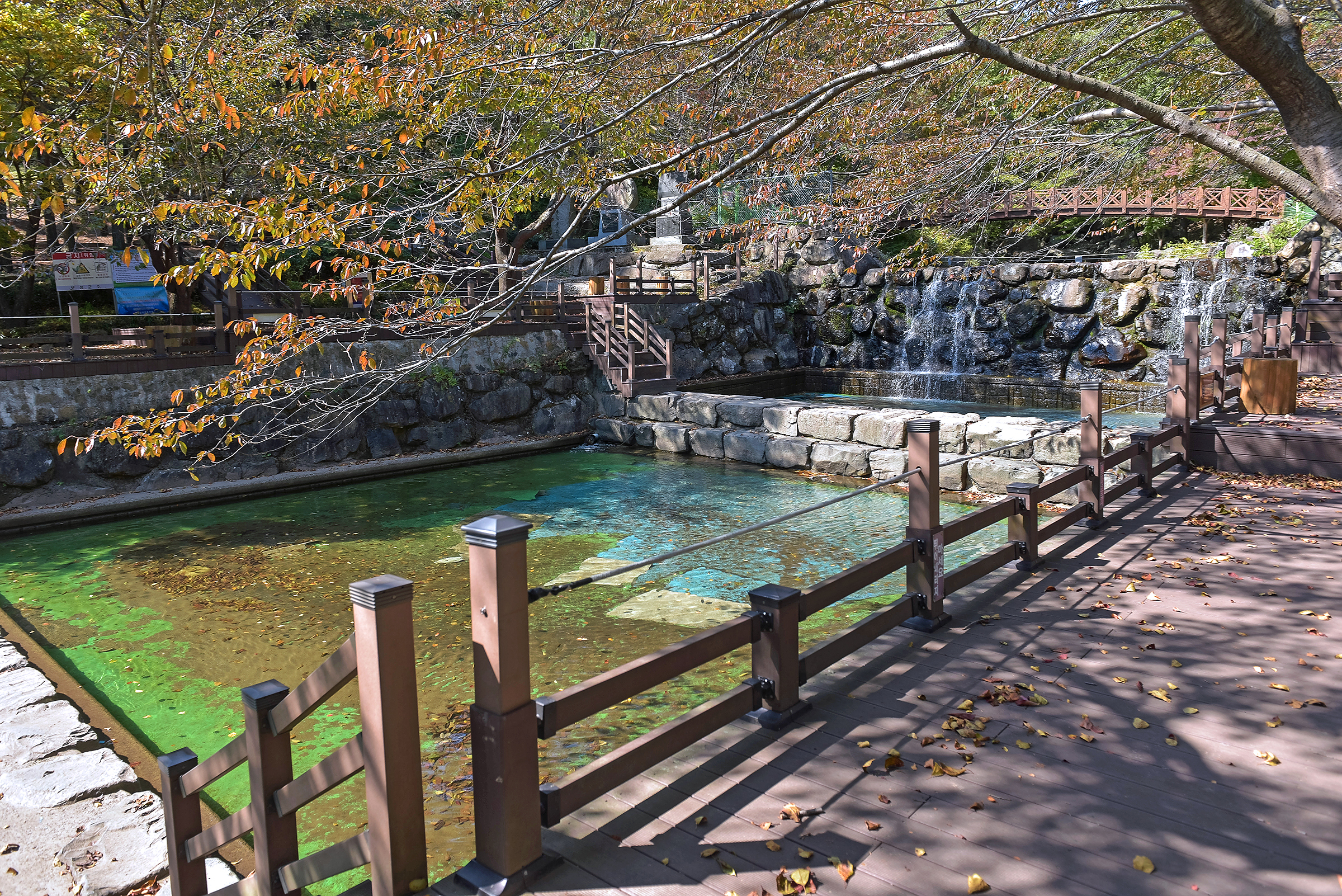 제암산자연휴양림 야영장