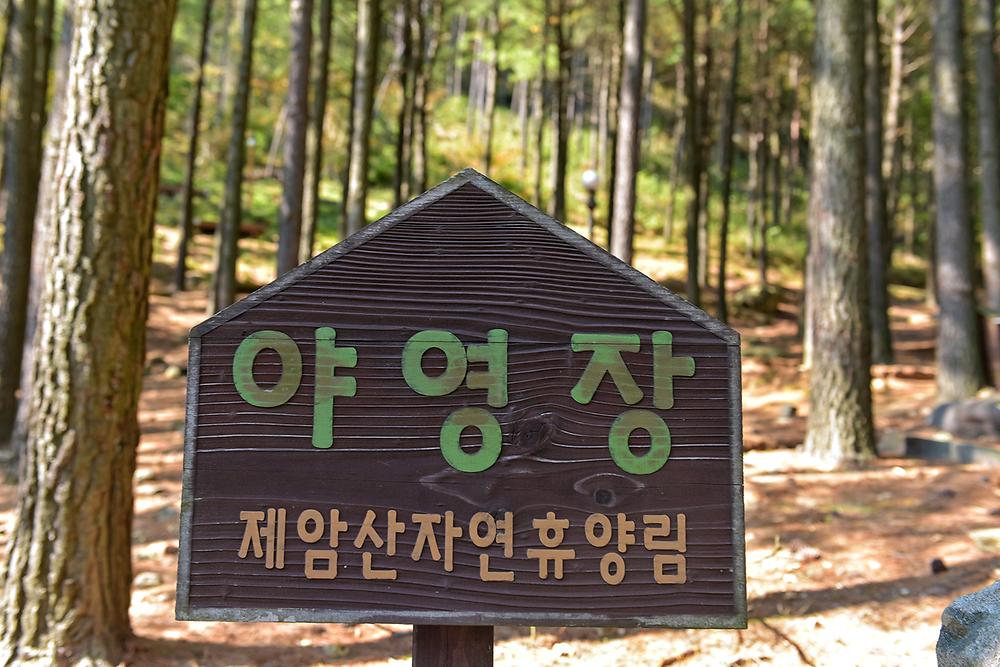 제암산자연휴양림 야영장