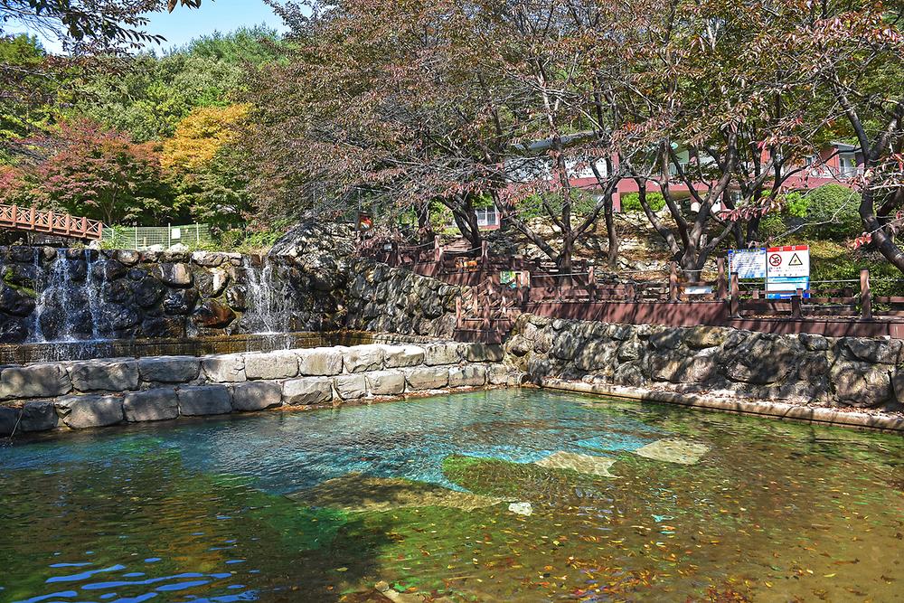 제암산자연휴양림 야영장