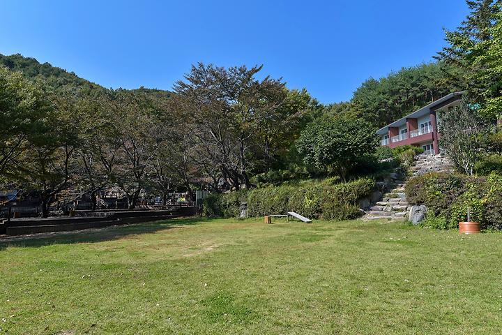 제암산자연휴양림 야영장