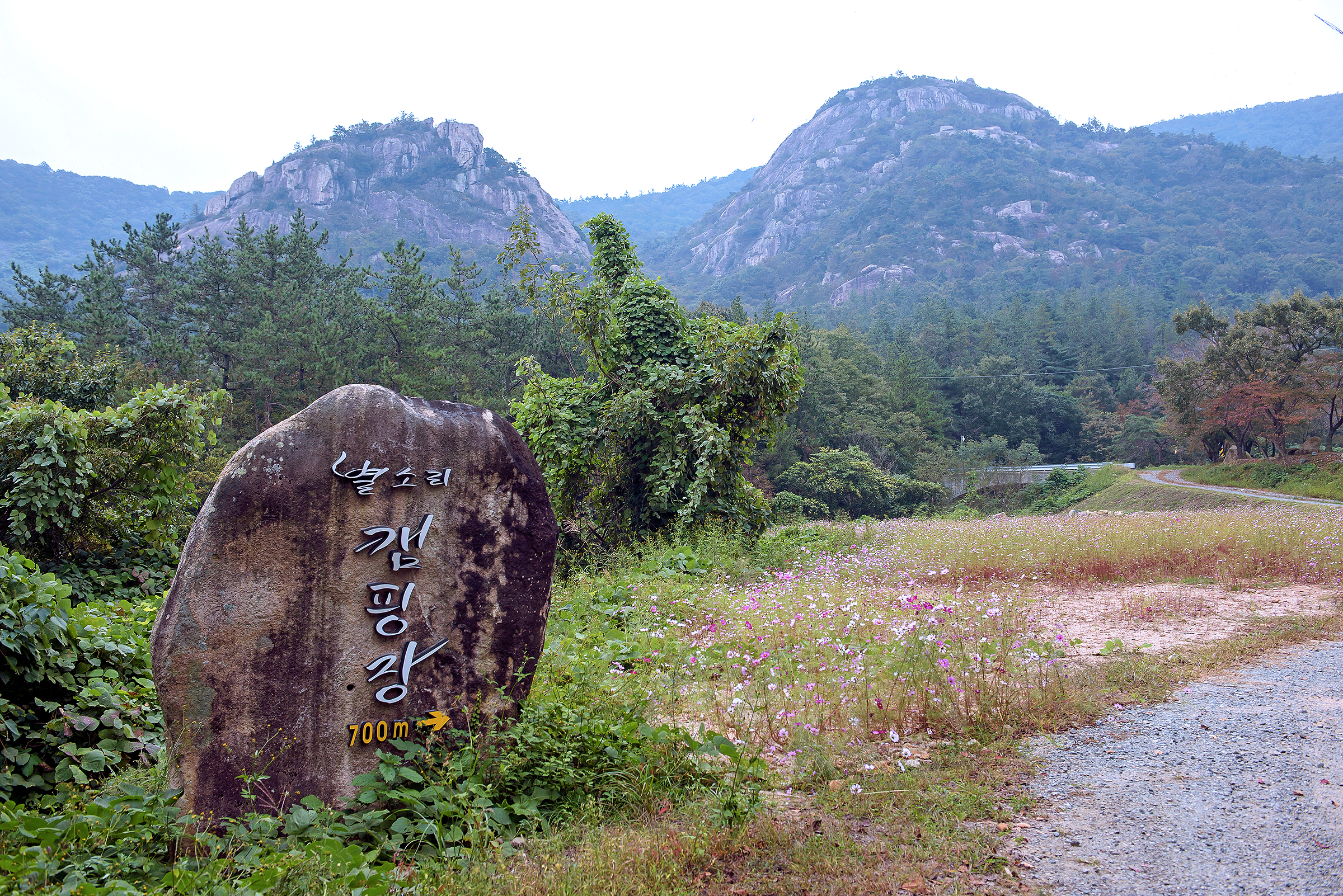 주작산 별소리캠핑장