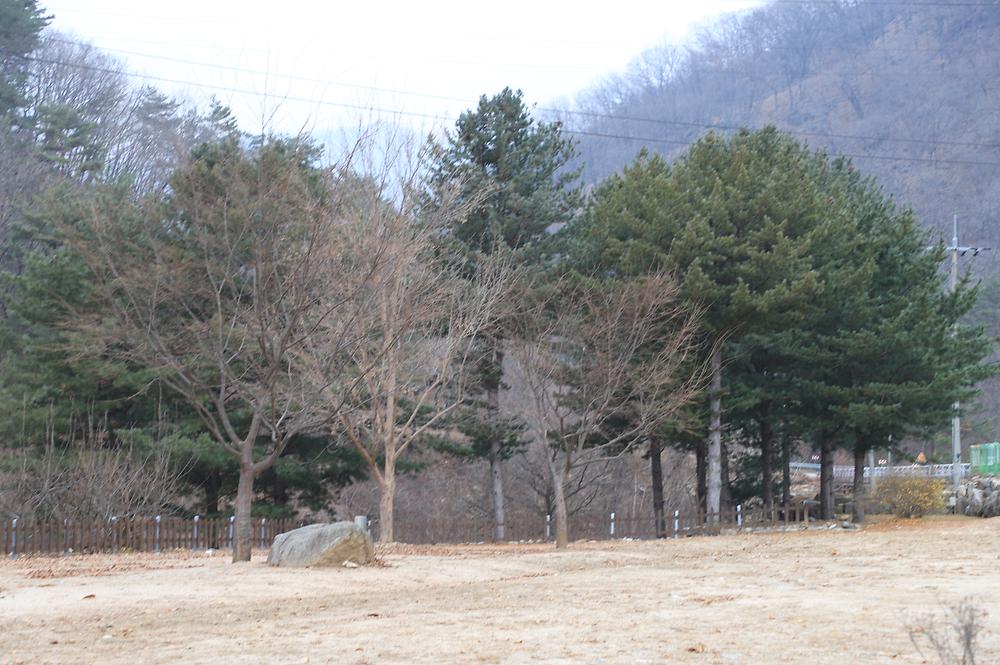 수피다 캠핑장