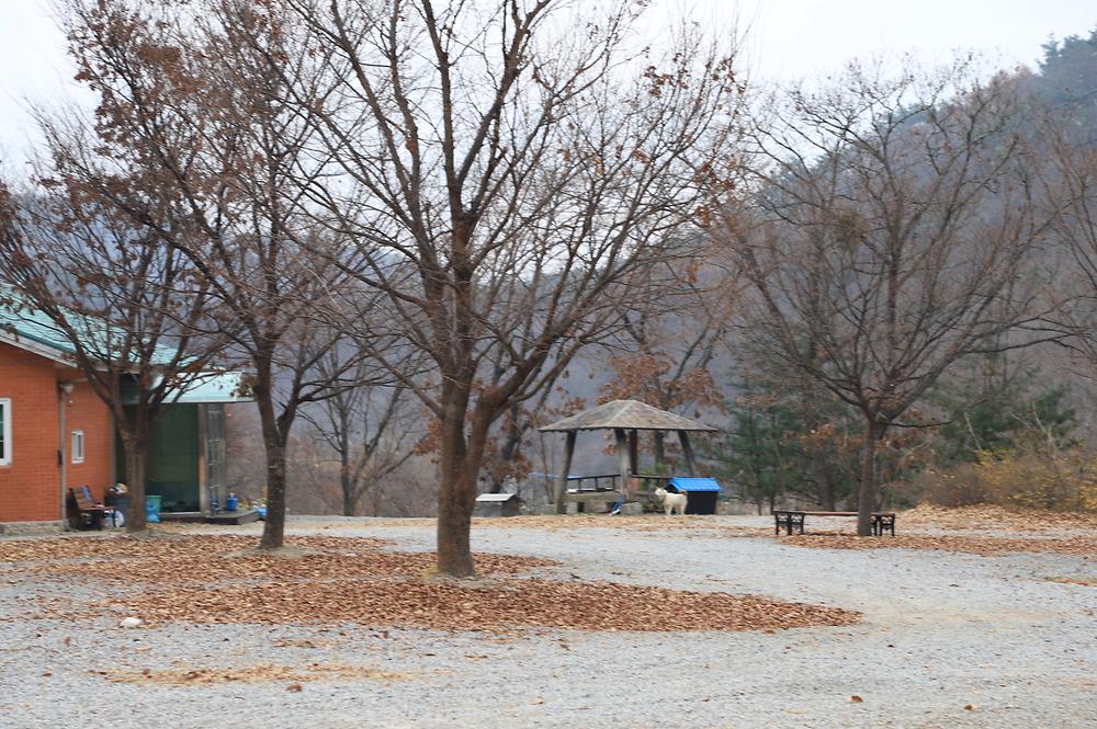 수피다 캠핑장
