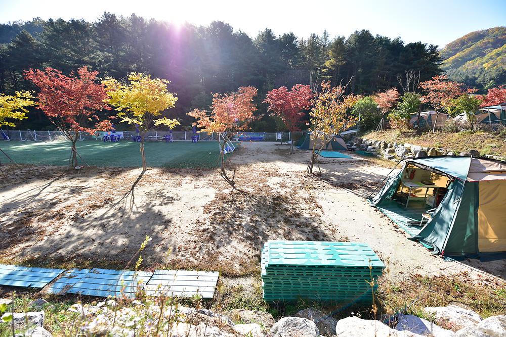 캠플레이 캠핑장
