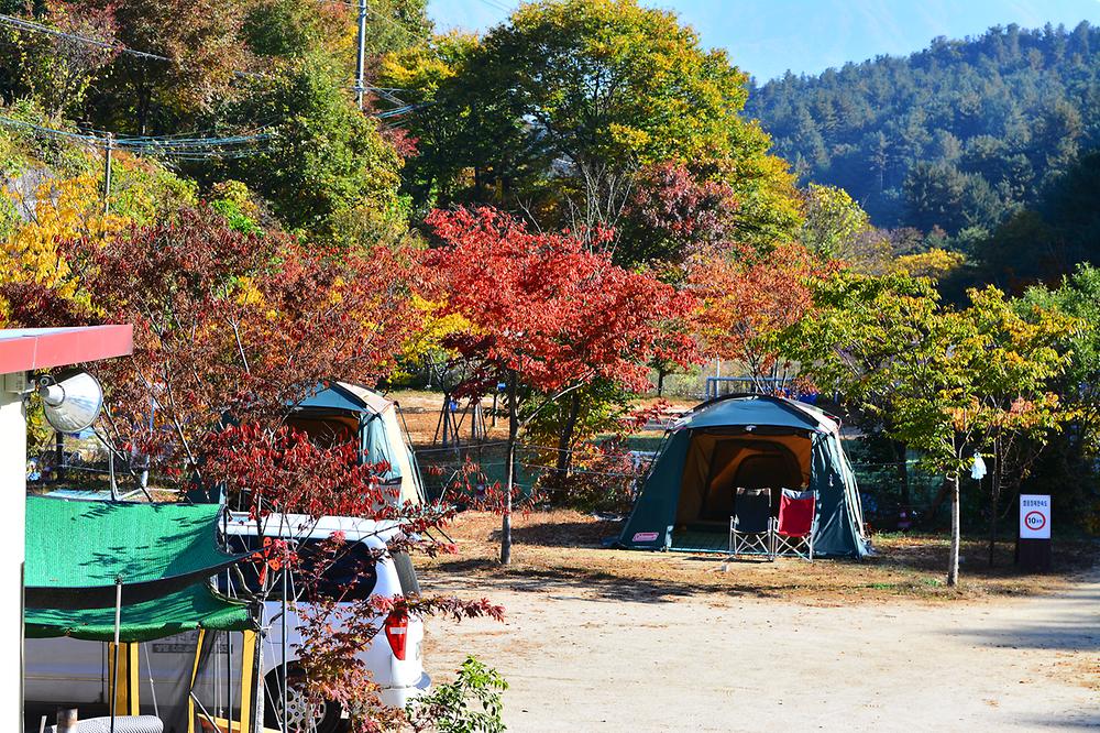 캠플레이 캠핑장