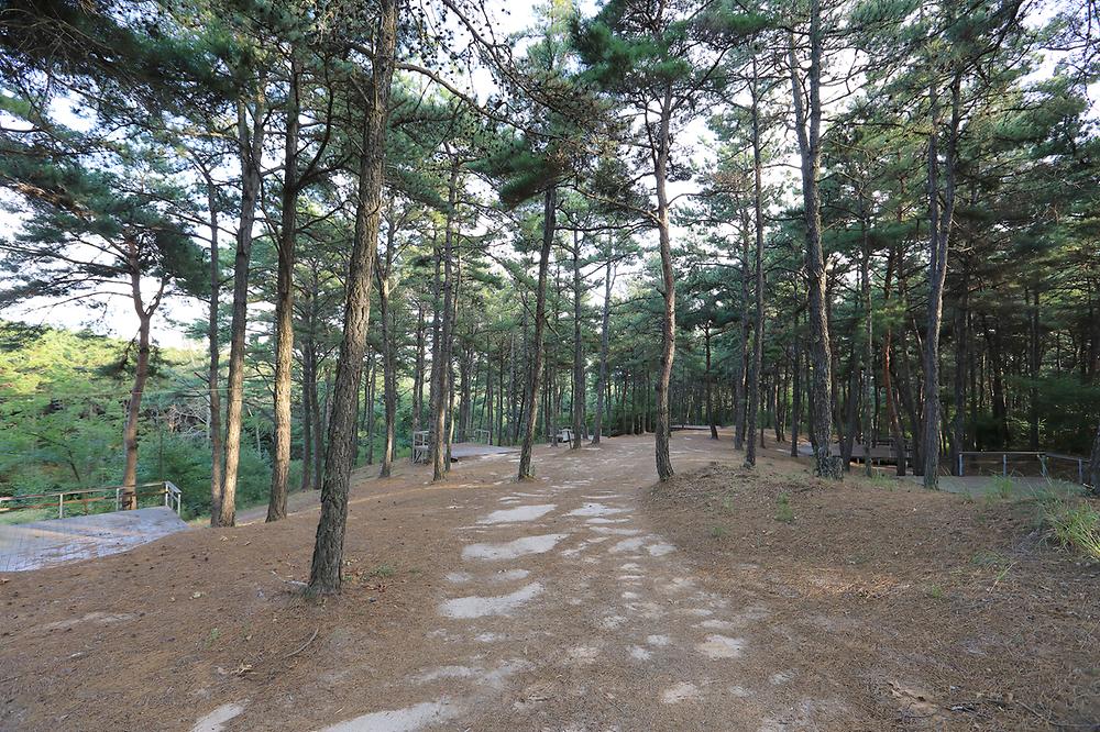 파인힐캠프