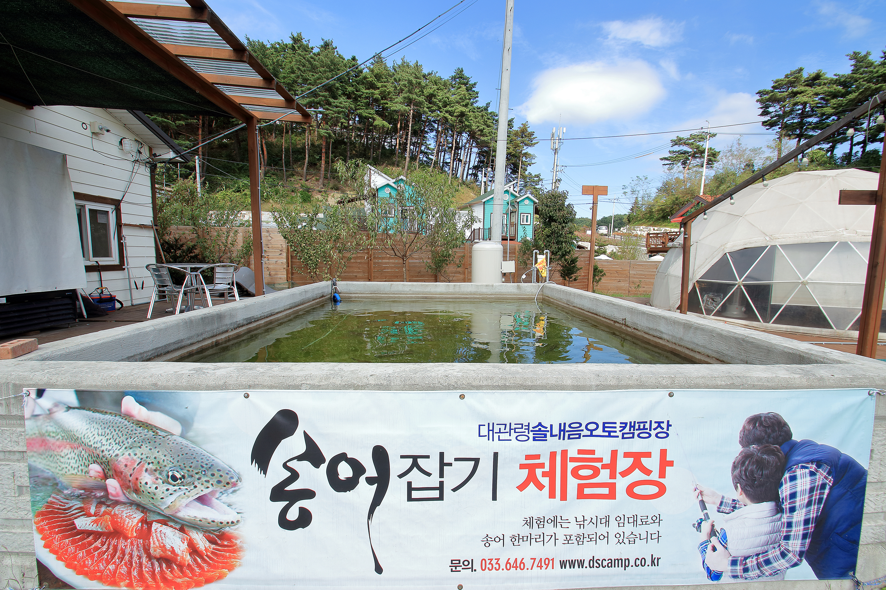 대관령 솔내음 오토 캠핑장