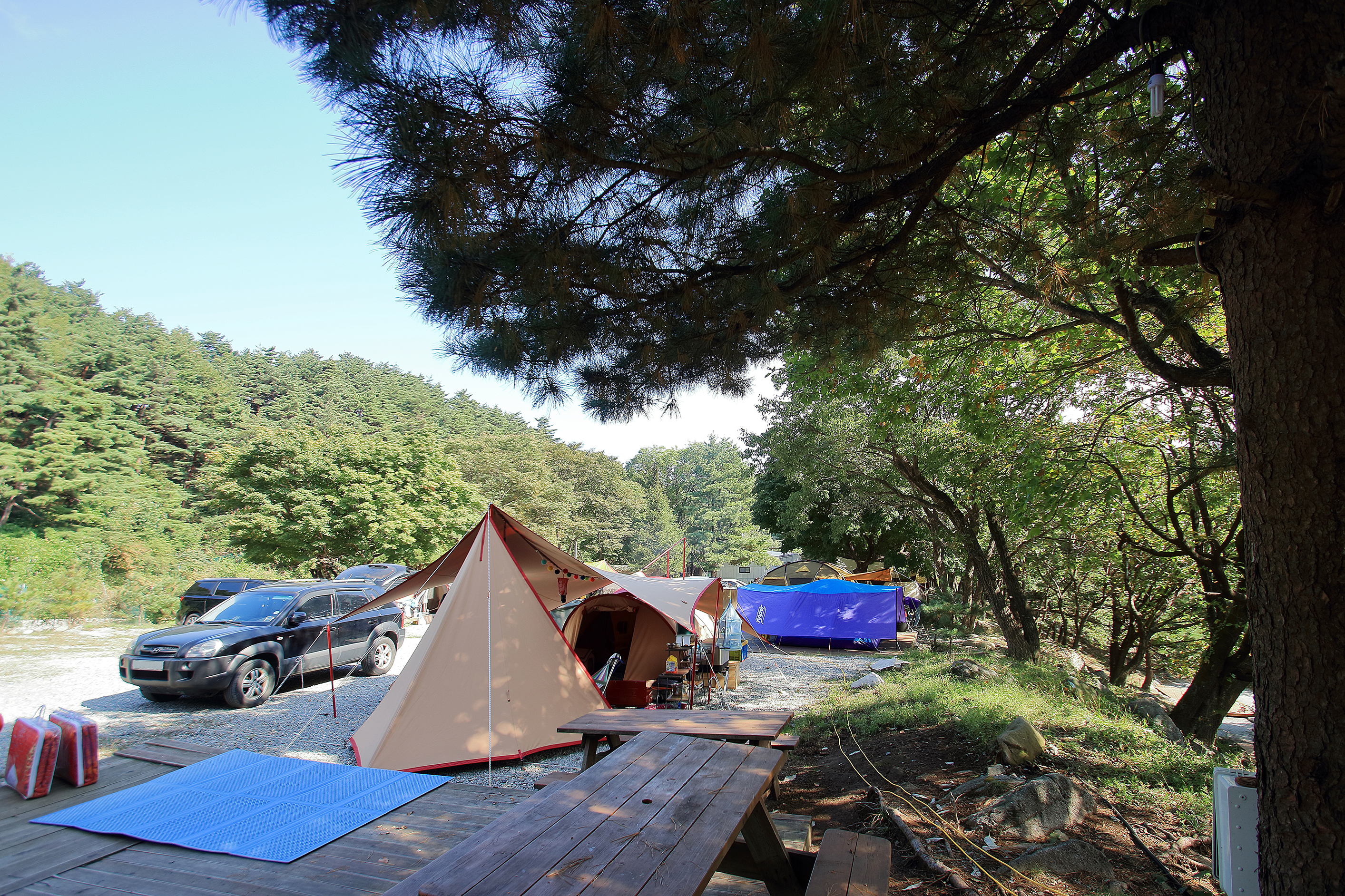 대관령 솔내음 오토 캠핑장