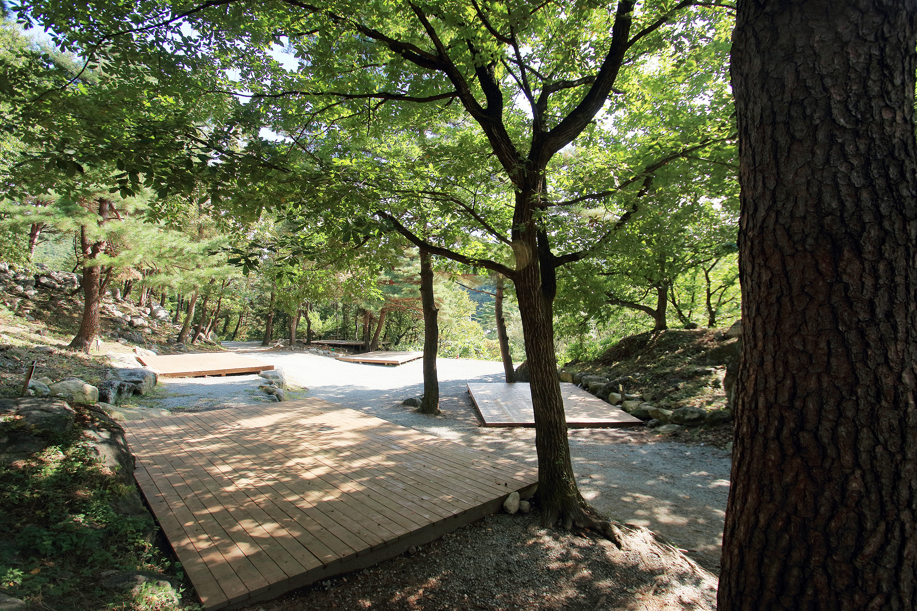 대관령 솔내음 오토 캠핑장