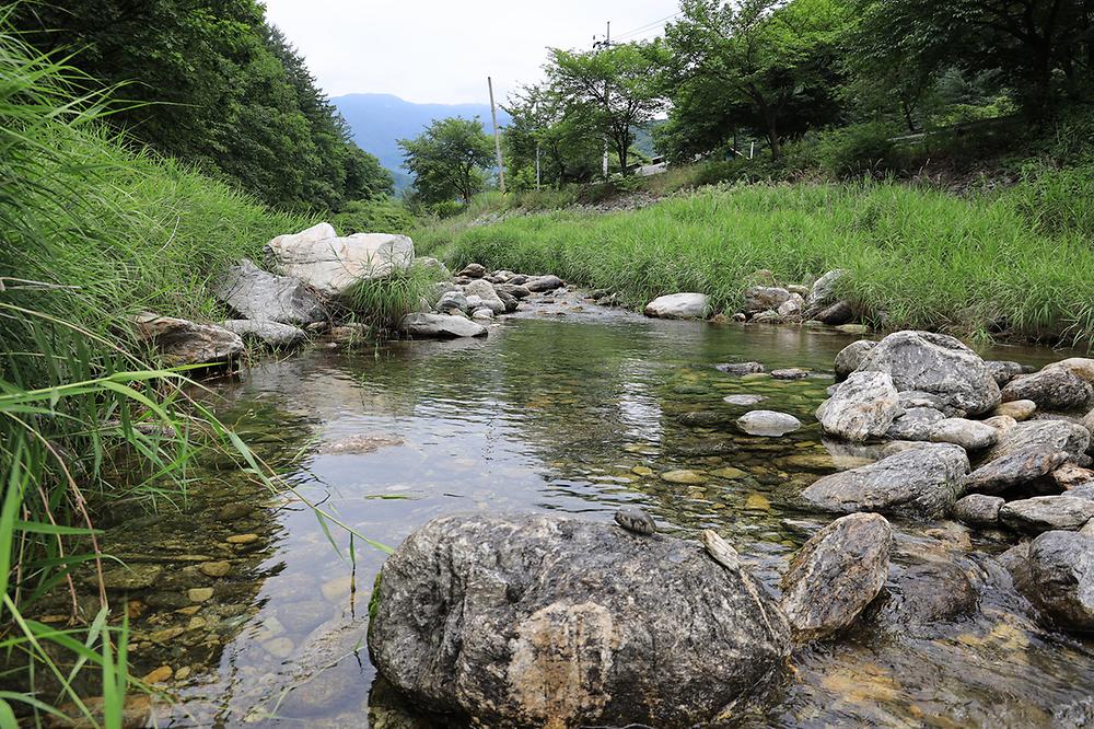 포시즌캠핑장