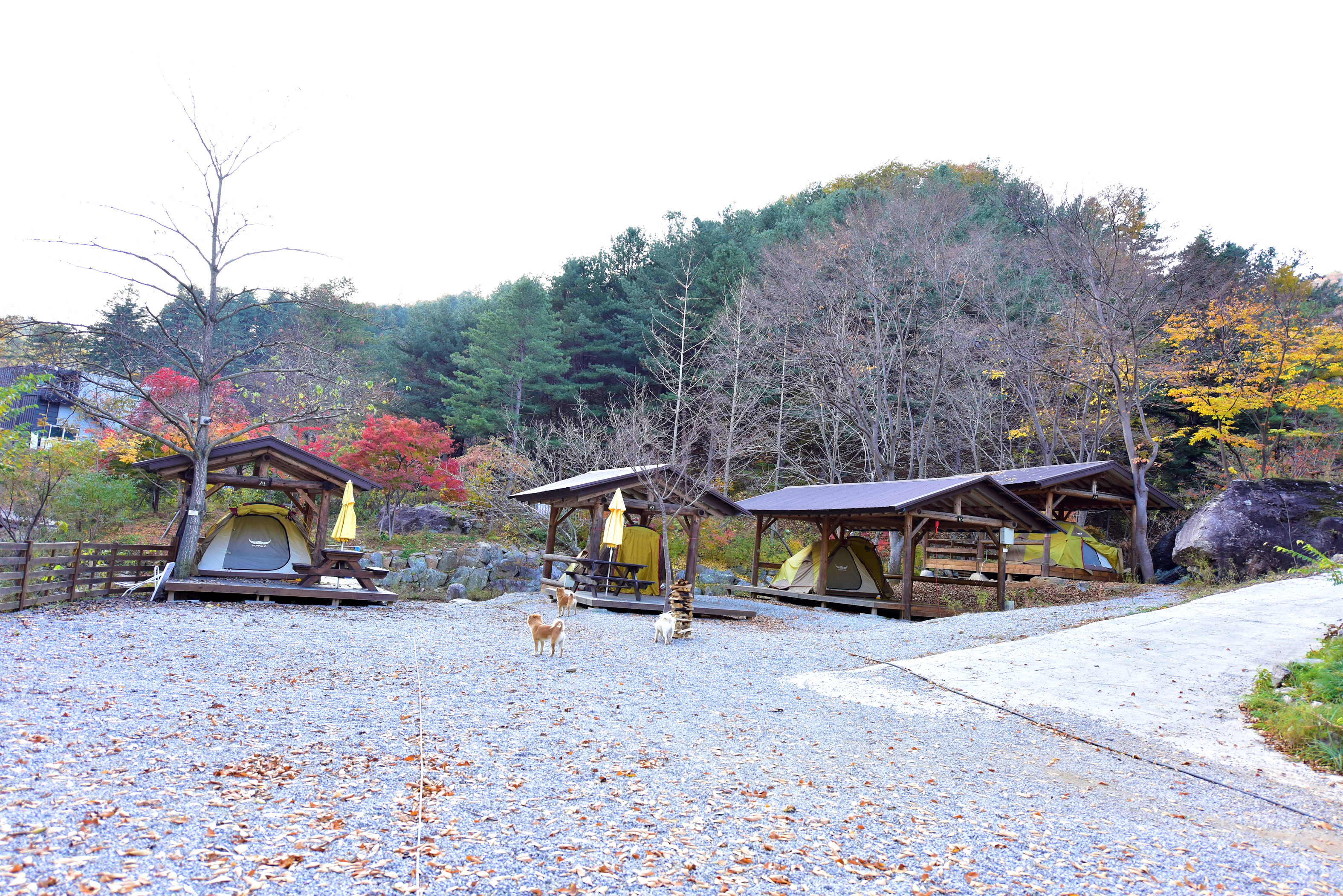 화야 캠핑장